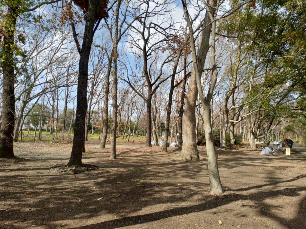 2019-02-12 寒空の大泉緑地